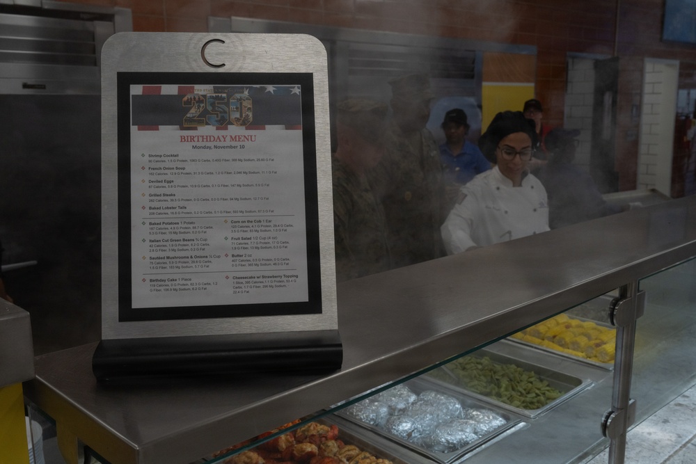 2nd Marine Logistics Group Leadership Serves Marines and Sailors for Marine Corps 250th Birthday