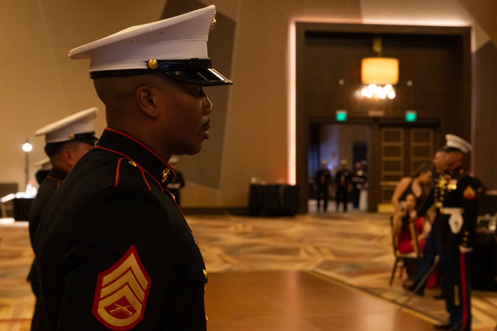 RS Riverside: 250th Marine Corps Birthday Ball