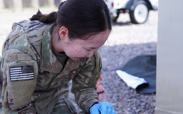 Iron Heroes: Combat Medics Showcase Excellence in 1AD Competition