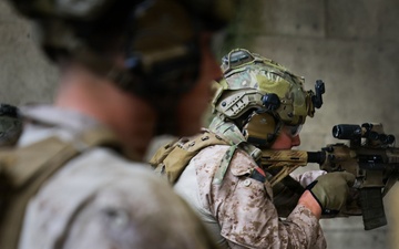 Close Quarters Tactics