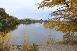 Bateman Island Causeway Removal