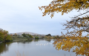Yakima Delta Leadership Team Advances Bateman Island Causeway Removal