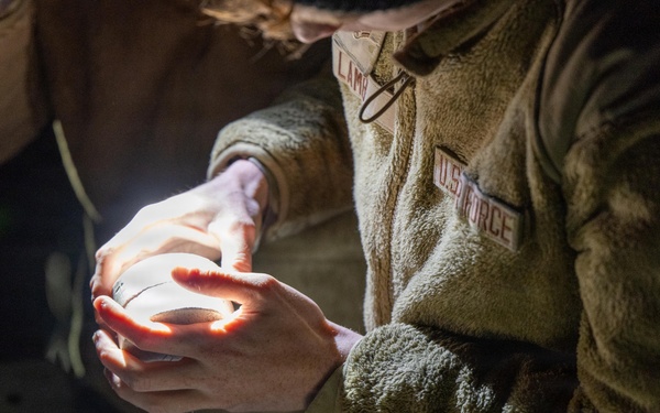 BTF: 9 EBS perform weapons load