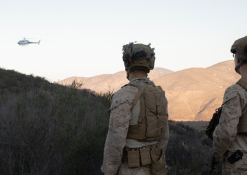 Marines patrol southern border wilderness