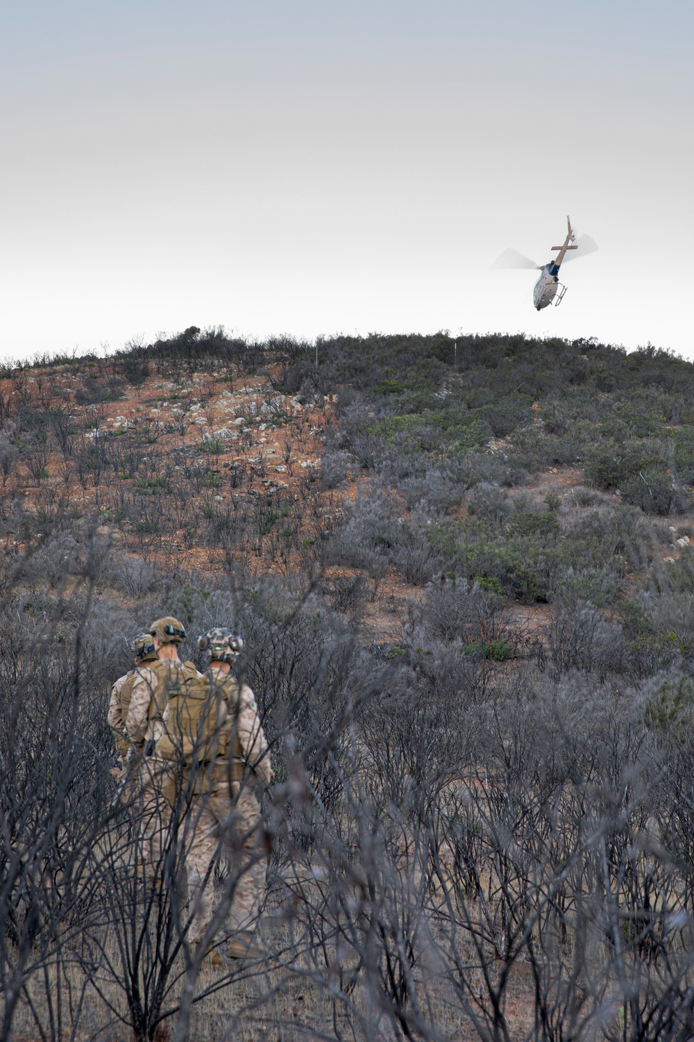 Marines patrol southern border wilderness