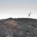 Marines patrol southern border wilderness