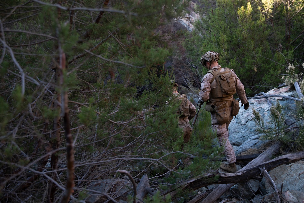 Marines patrol southern border wilderness