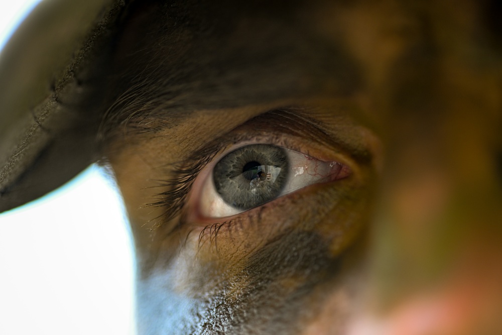 2024 Best Combat Camera Competition