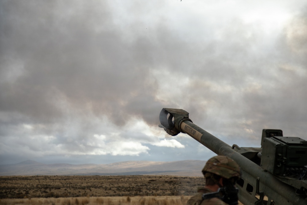 Artillery Live Fire Exercise
