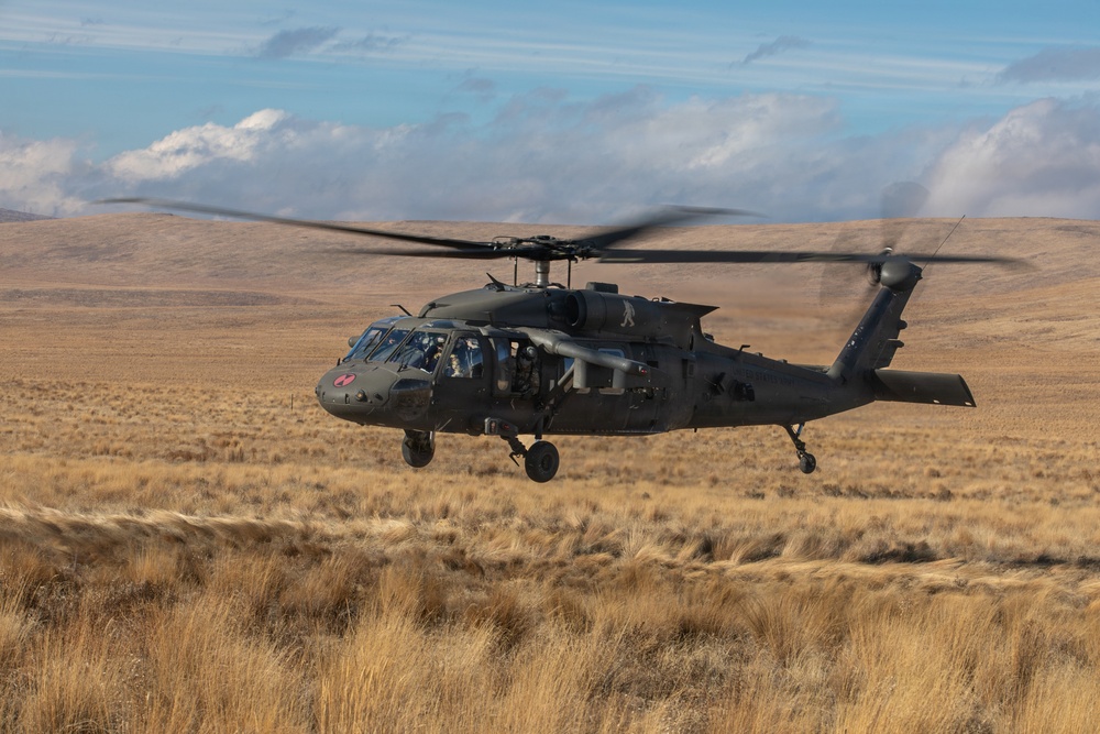 Medical Evac Training