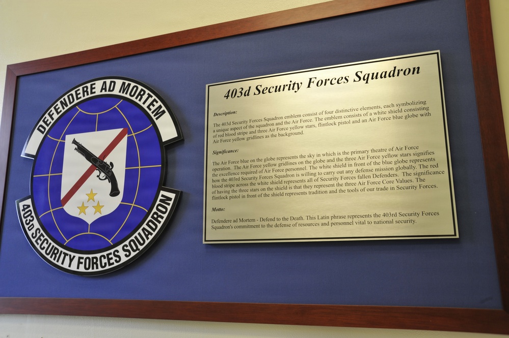 403 Security Forces Squadron Plaque