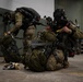 352d Special Operations Wing and Finnish Utti Jaeger Regiment strengthen High North Alliance during Exercise Florin Fossil
