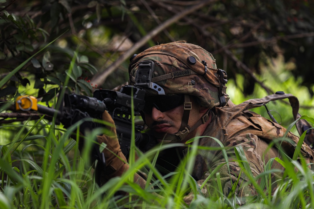 325th Light Support Battalion Green Cluster JPMRC 26-01