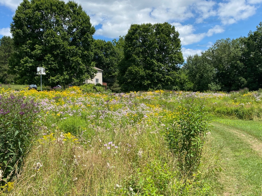 Summertime sweetness: Woodcock Creek Lake apiary supports pollinator populations for tomorrow and beyond