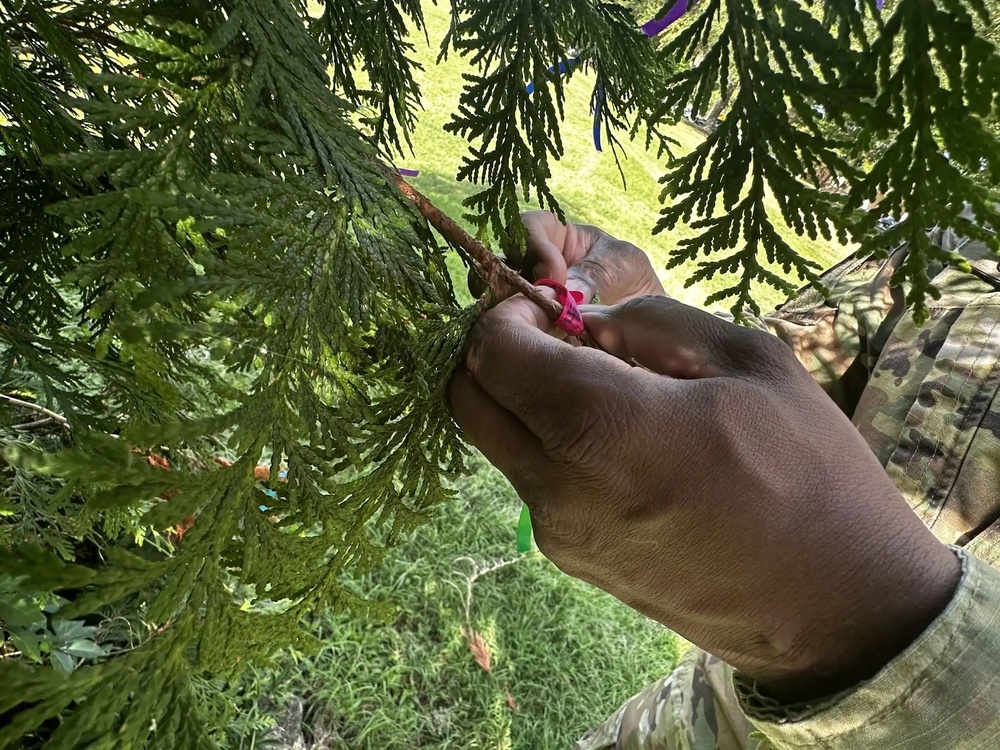 597th Supports Fort Eustis “The Light Lives On” Suicide Prevention Event