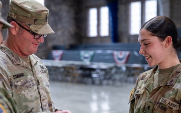 U.S. Army National Guard Soldiers with the 181st Field Artillery Regiment Promoted