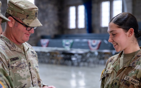U.S. Army National Guard Soldiers with the 181st Field Artillery Regiment Promoted