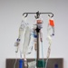 IV Fluids and Medications