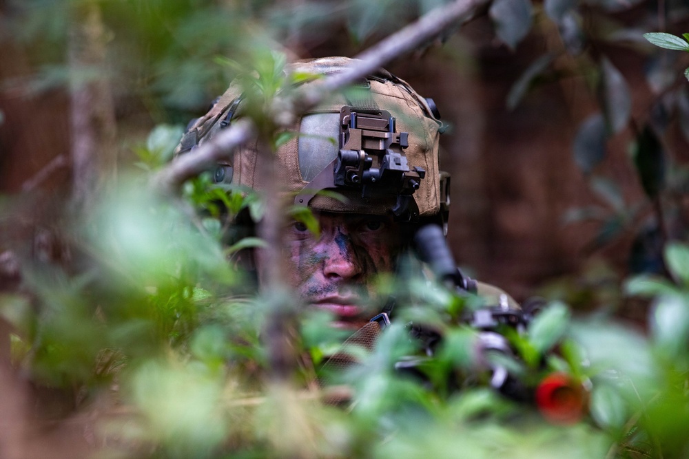 Allies Operating in KTA During JPMRC 26-01