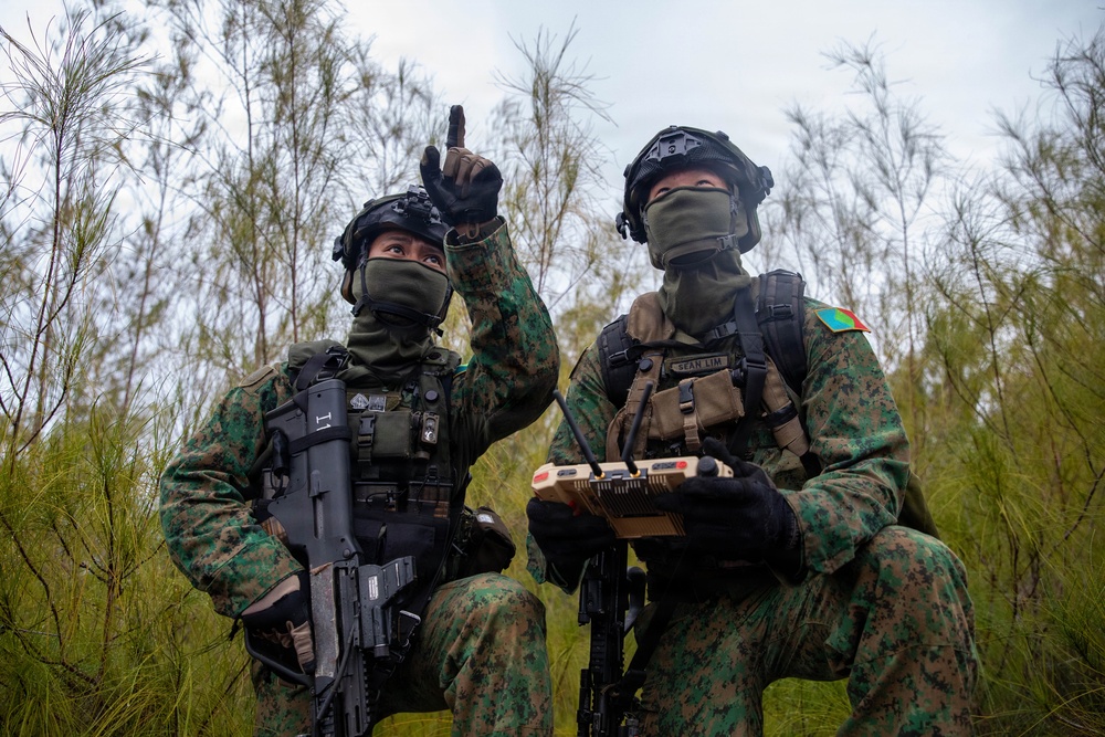 Allies Operating in KTA During JPMRC 26-01