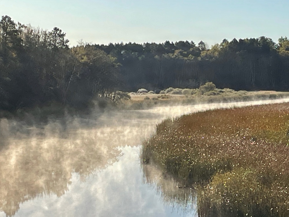 Rolling Fog on the Chippewa National Forest