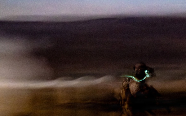 11th MEU participates in Mechanized Raid Course