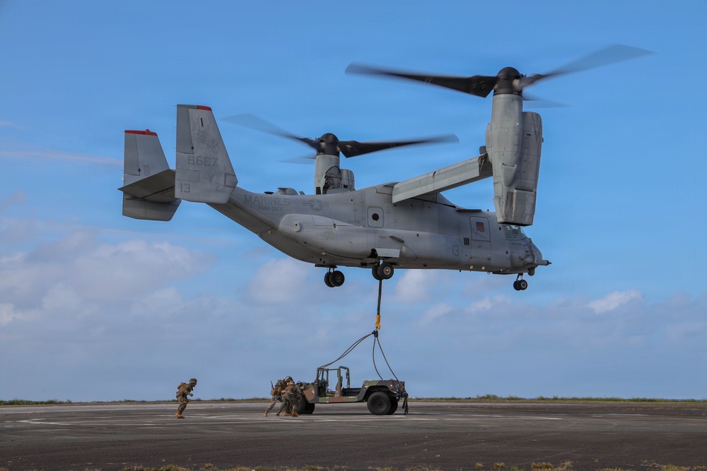 VMM-363 and 3d MLR rehearse hoist operations