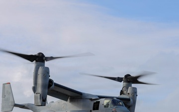 VMM-363 and 3d MLR rehearse hoist operations