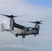 VMM-363 and 3d MLR rehearse hoist operations