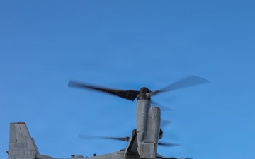 VMM-363 and 3d MLR rehearse hoist operations