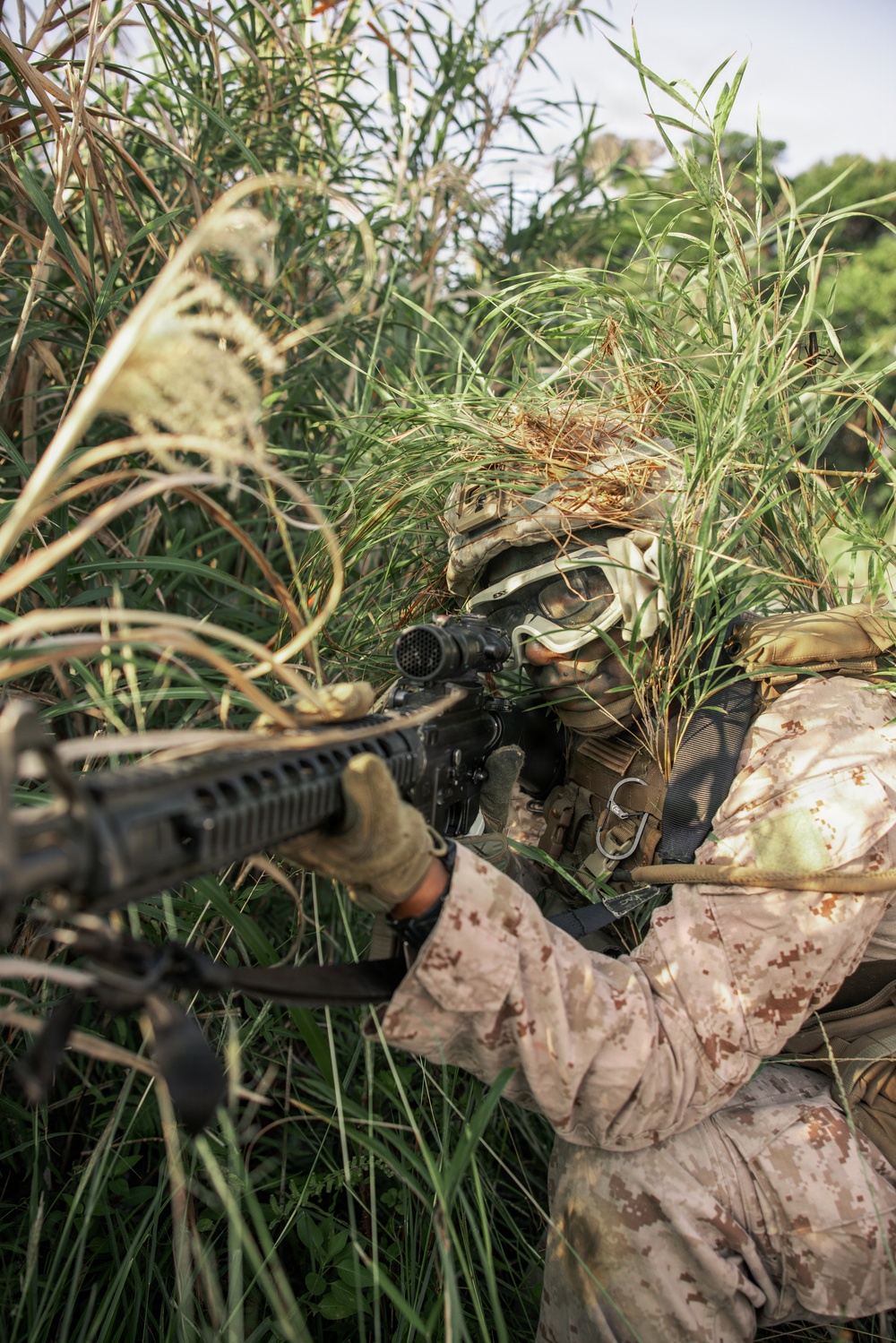 7th Communication Battalion Marines sharpen combat and communications skills at Jungle Warfare Training Center