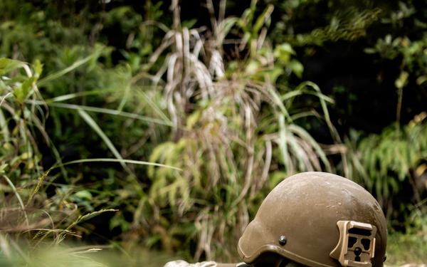 7th Communication Battalion Marines conduct jungle endurance obstacles at Jungle Warfare Training Center