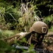 7th Communication Battalion Marines conduct jungle endurance obstacles at Jungle Warfare Training Center