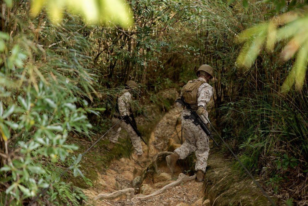 7th Communication Battalion Marines conduct jungle endurance obstacles at Jungle Warfare Training Center