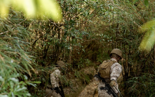 7th Communication Battalion Marines conduct jungle endurance obstacles at Jungle Warfare Training Center
