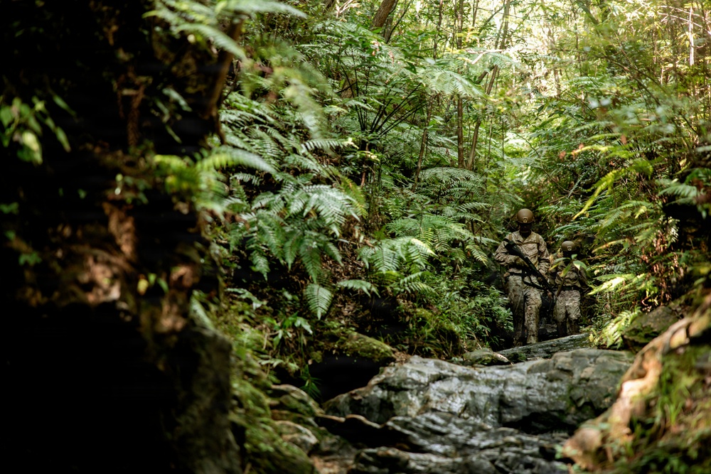 7th Communication Battalion Marines conduct jungle endurance obstacles at Jungle Warfare Training Center