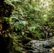 7th Communication Battalion Marines conduct jungle endurance obstacles at Jungle Warfare Training Center