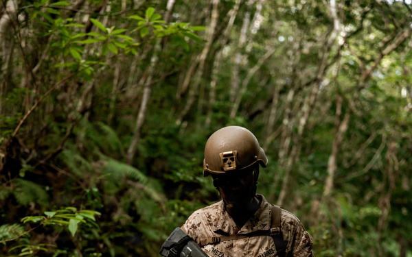 7th Communication Battalion Marines conduct jungle endurance obstacles at Jungle Warfare Training Center