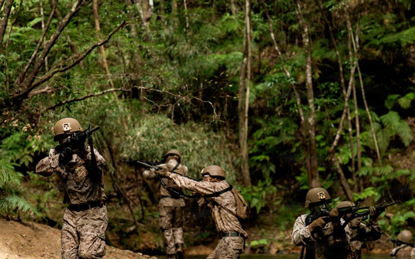 7th Communication Battalion Marines conduct jungle endurance obstacles at Jungle Warfare Training Center