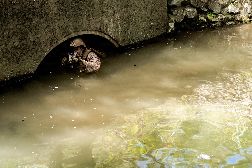 7th Communication Battalion Marines conduct jungle endurance obstacles at Jungle Warfare Training Center