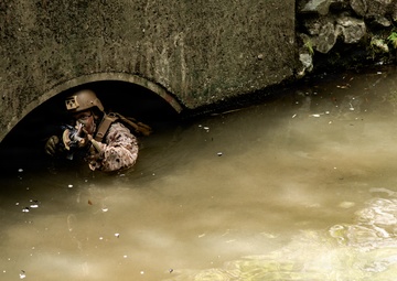 7th Communication Battalion Marines conduct jungle endurance obstacles at Jungle Warfare Training Center