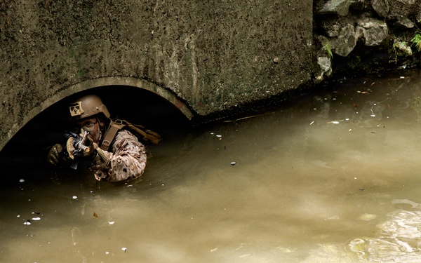 7th Communication Battalion Marines conduct jungle endurance obstacles at Jungle Warfare Training Center