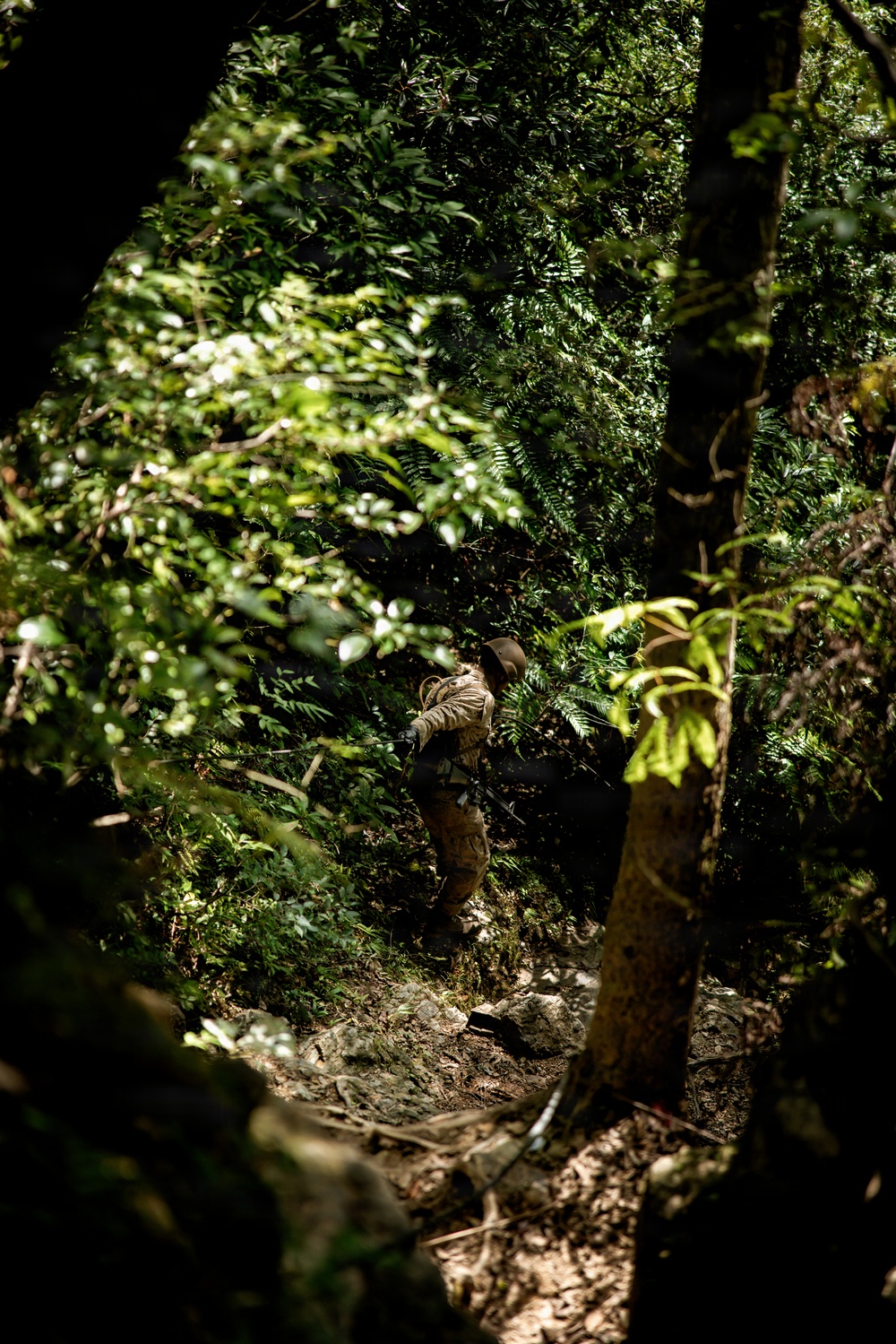 7th Communication Battalion Marines conduct jungle endurance obstacles at Jungle Warfare Training Center