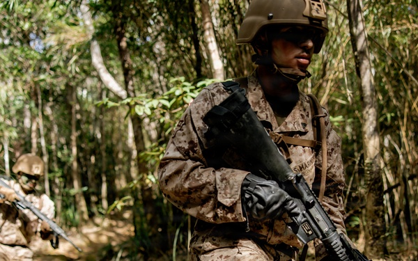 7th Communication Battalion Marines conduct jungle endurance obstacles at Jungle Warfare Training Center