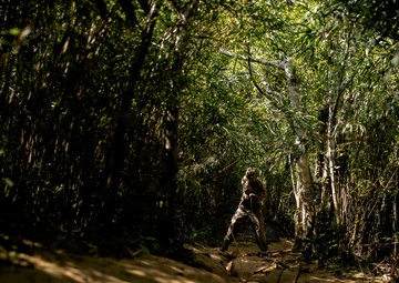 7th Communication Battalion Marines conduct jungle endurance obstacles at Jungle Warfare Training Center