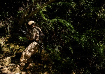 7th Communication Battalion Marines conduct jungle endurance obstacles at Jungle Warfare Training Center