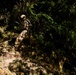 7th Communication Battalion Marines conduct jungle endurance obstacles at Jungle Warfare Training Center