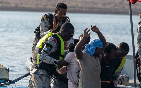 Exercise Bull Shark 26-1