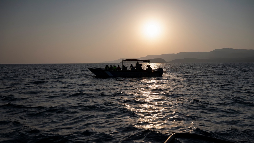 Exercise Bull Shark 26-1