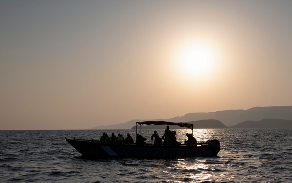 Exercise Bull Shark 26-1